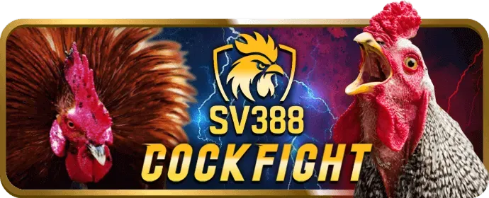 Chương Trình Hoàn Trả Twin Game