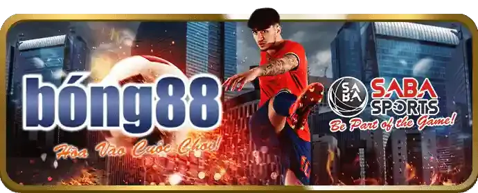 Chương trình VIP twin game