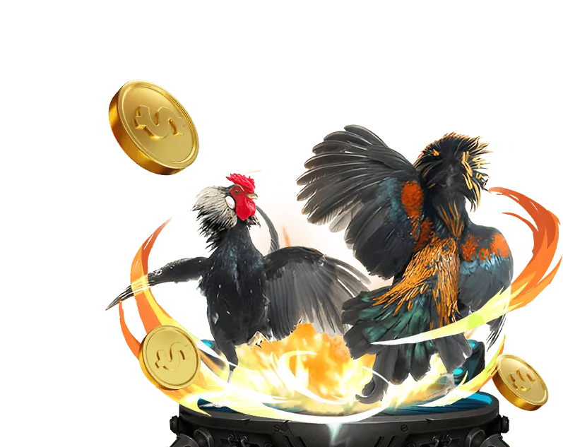 Giới thiệu nền tảng twin game